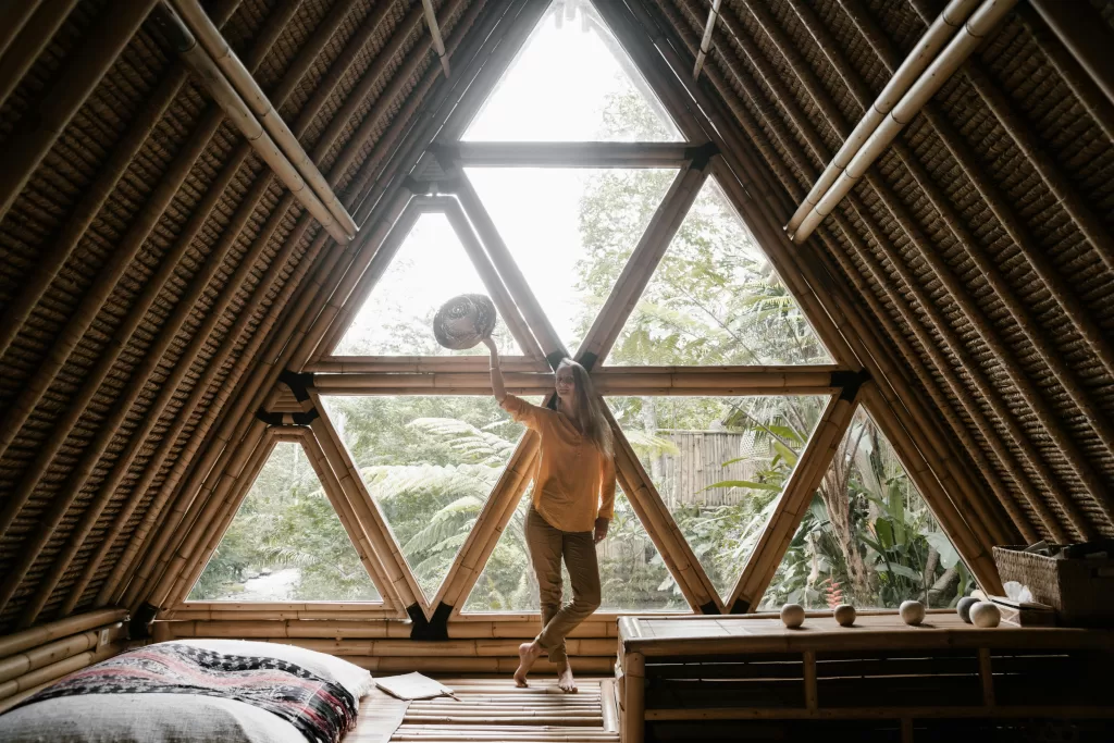 eco friendly house