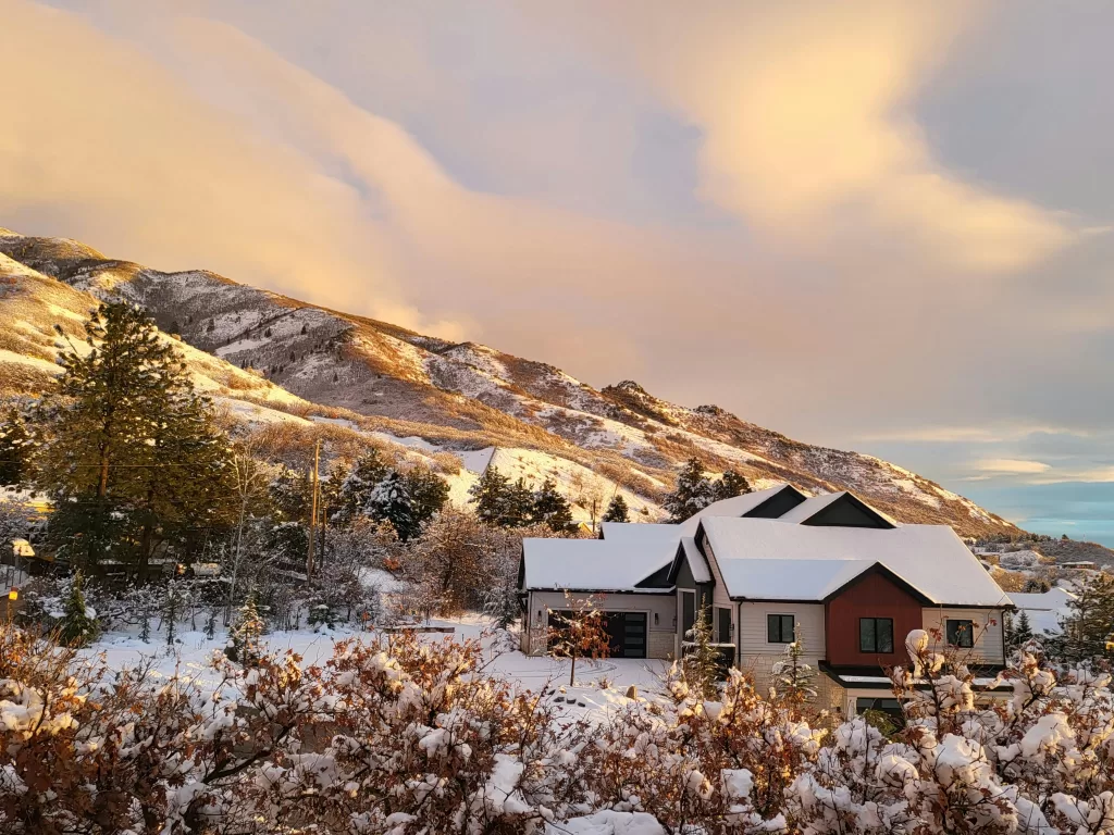 Home in the winter