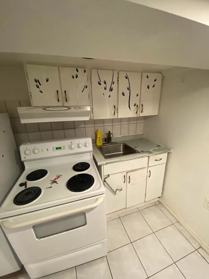 Woodbine Avenue basement renovation before