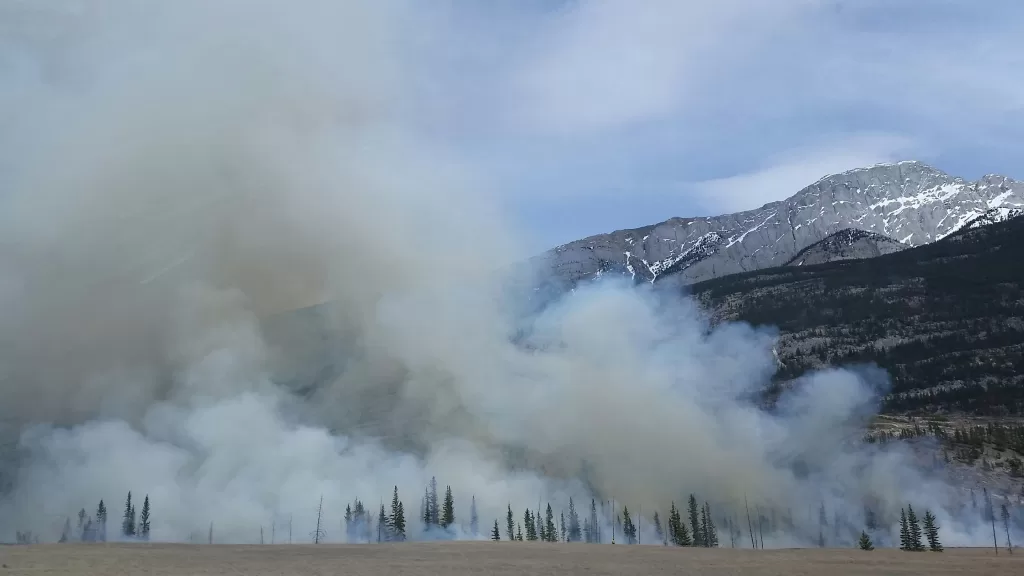 Mountains affected by wildfire