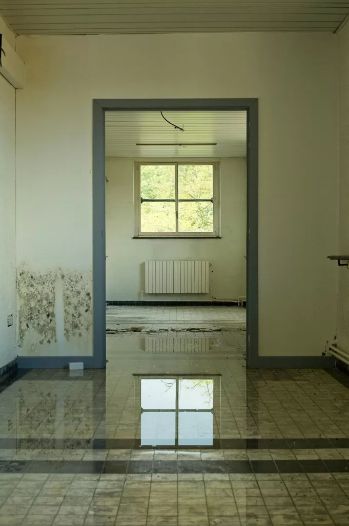 Room with Mold on walls